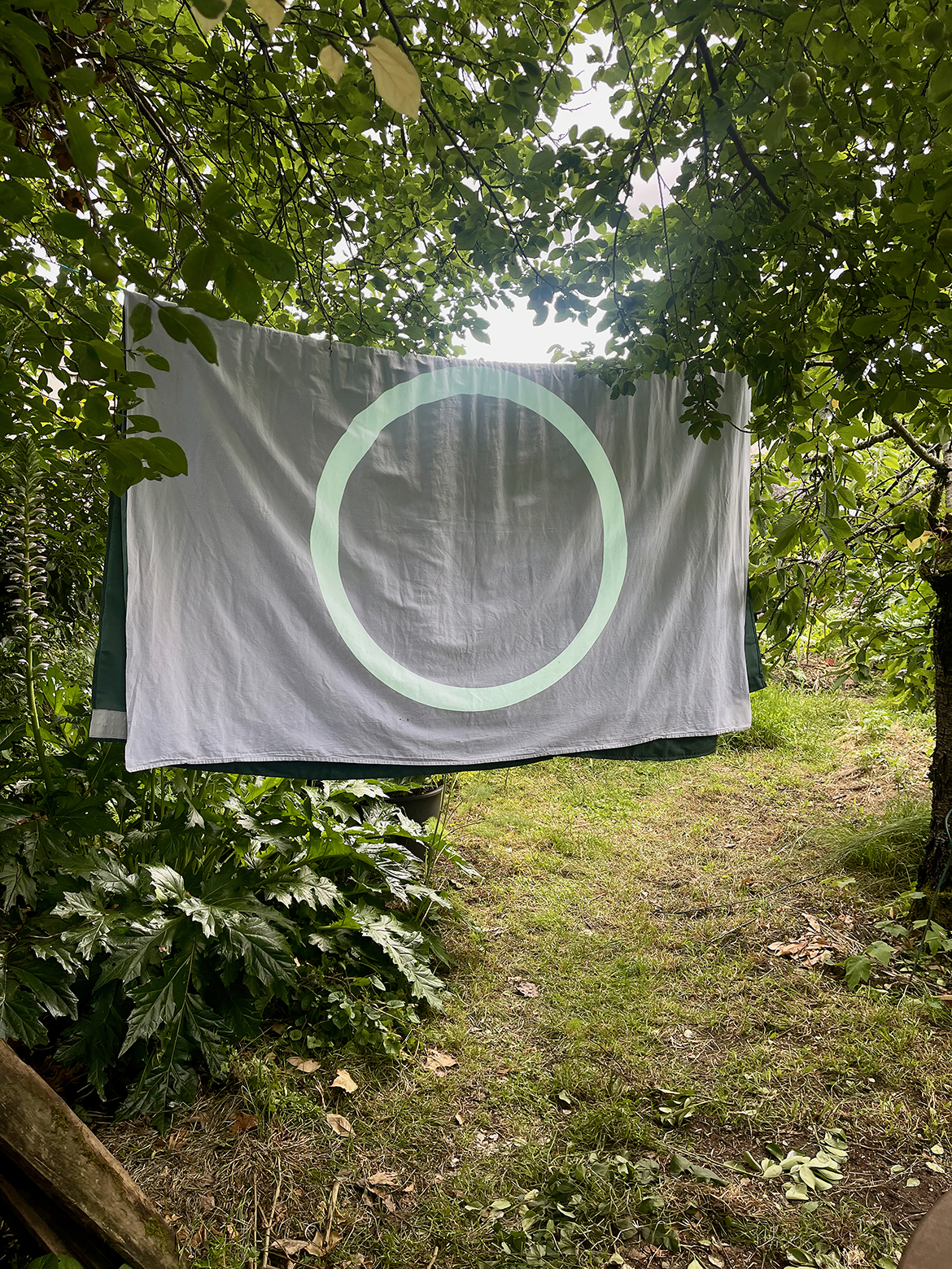 Performance, Un col de chemise bleue, Gilles Sage, Diffractis au jardin