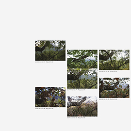 thumbnail_planchecontactpyreneenne@1x