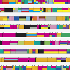 Graphique, Un col de chemise bleue, Gilles Sage